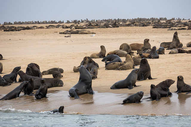 Namibia-0273