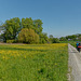 A vélo autour du lac