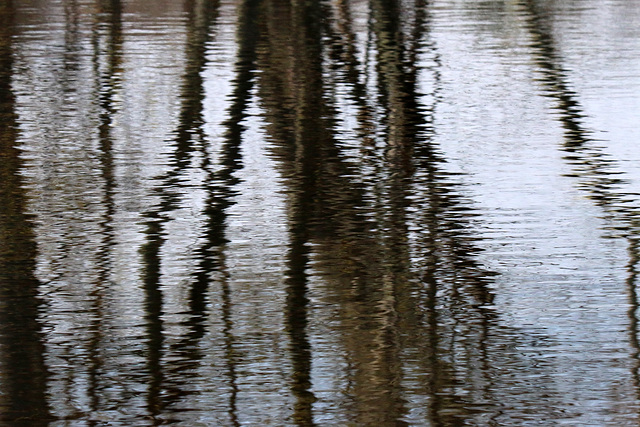 Concord River reflections