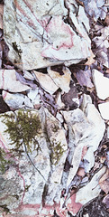 IMG 20250417 144259
