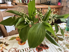 Je vous partage ce bouquet de muguet offert