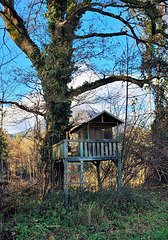 Baumhaus