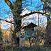 Baumhaus