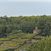 Weinböhla - König Albert Turm Weinböhla - König Albert Turm