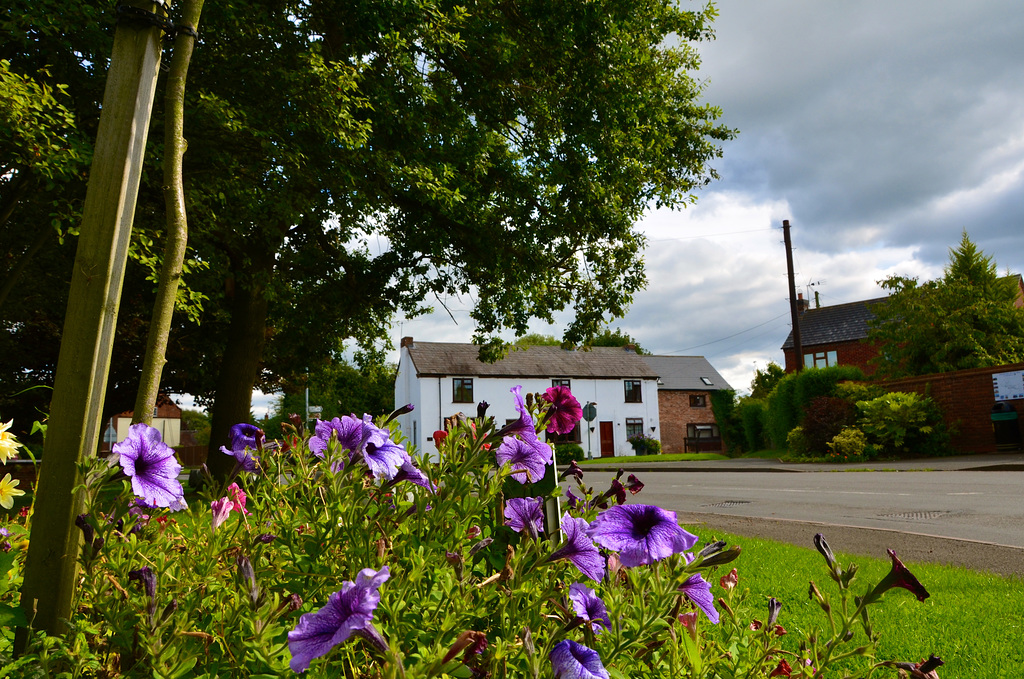 Haughton, Staffordshire