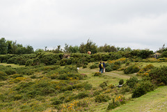 Wandern im Dartmoor - 20150831