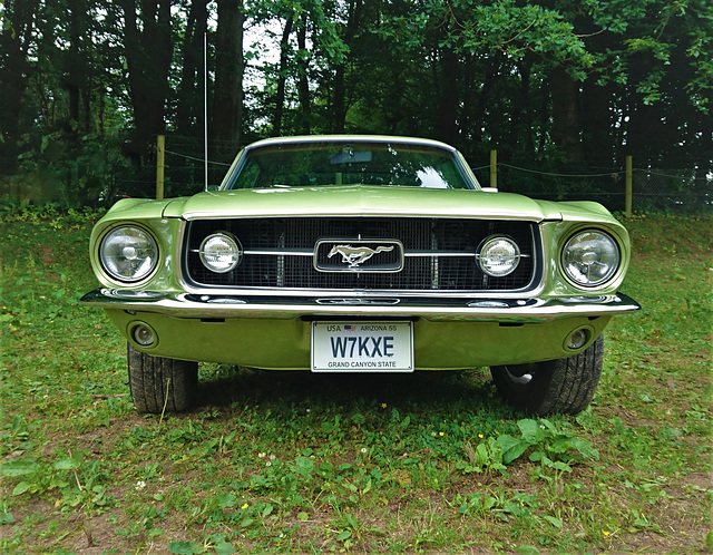 Ford Mustang Coupé