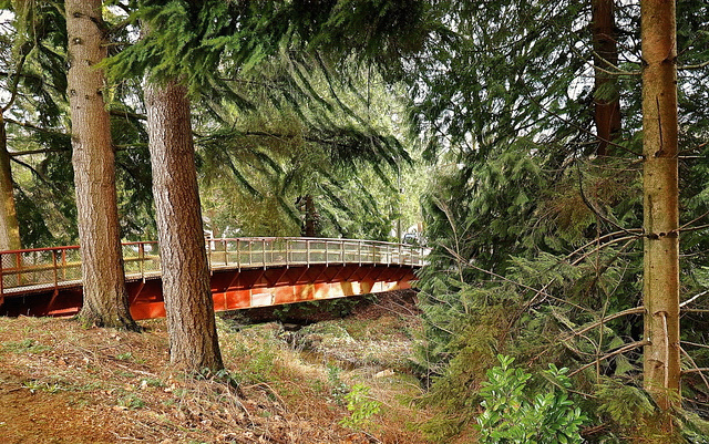 Park in Langley BC