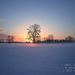 2024, Troisdorf - Winter-Sonnenuntergang in der Siegaue