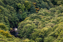 River Dart - 20150831