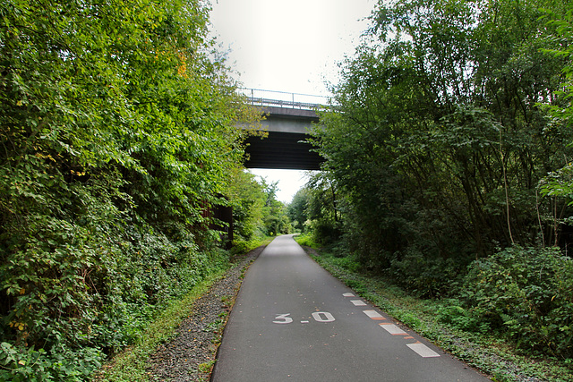 Radweg auf der ehem. Bahnstrecke "Rheinischer Esel" (Witten-Stockum) / 22.09.2019