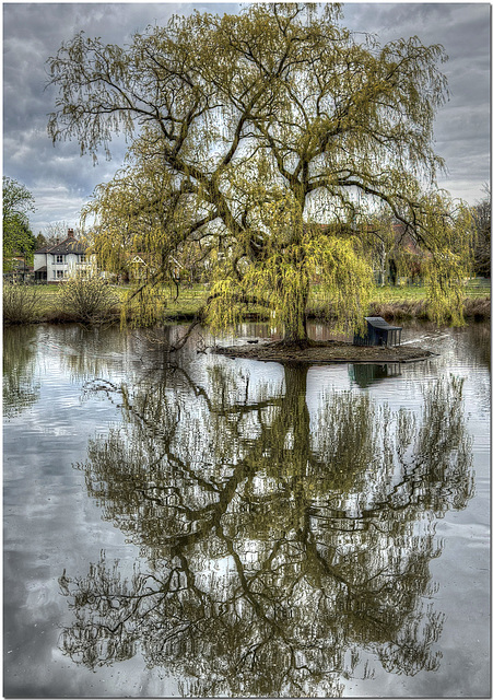 Village Pond, Pirbright
