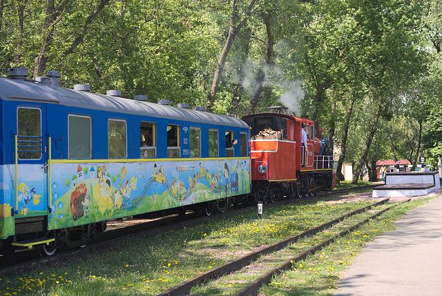 Der Zug fährt am Bahnhof Wyschenka ab