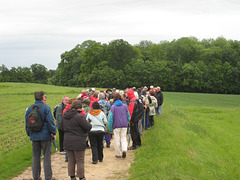 Rando-chorale du 17 mai 2009