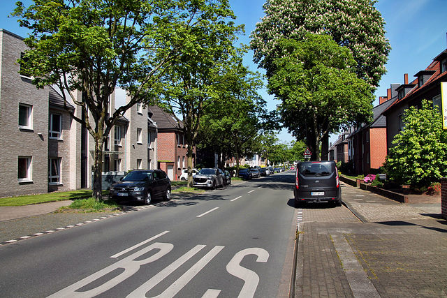 Lindhorststraße (Bottrop-Egen) / 11.05.2024