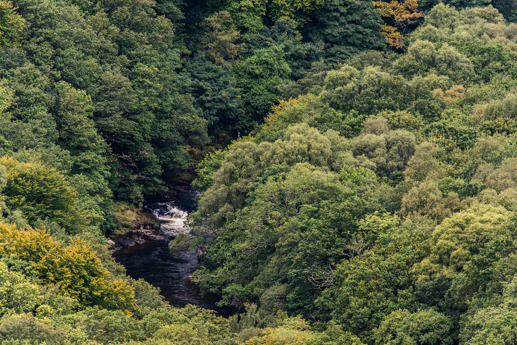 River Dart - 20150831