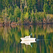 Across the lake from our home.