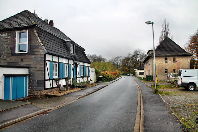 Am Mühlengraben (Witten) / 26.11.2023