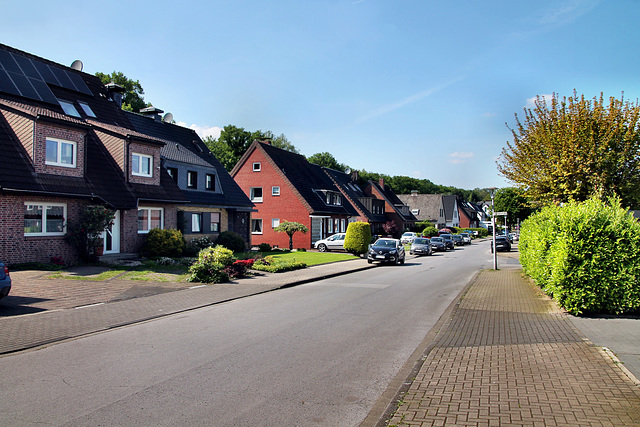 Nibelungenweg (Bottrop-Egen) / 11.05.2024