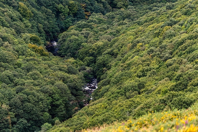 River Dart - 20150831