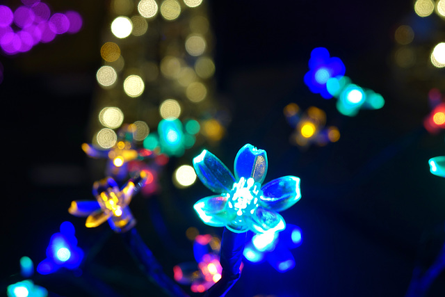 Christmas arrives at the Garden Centre