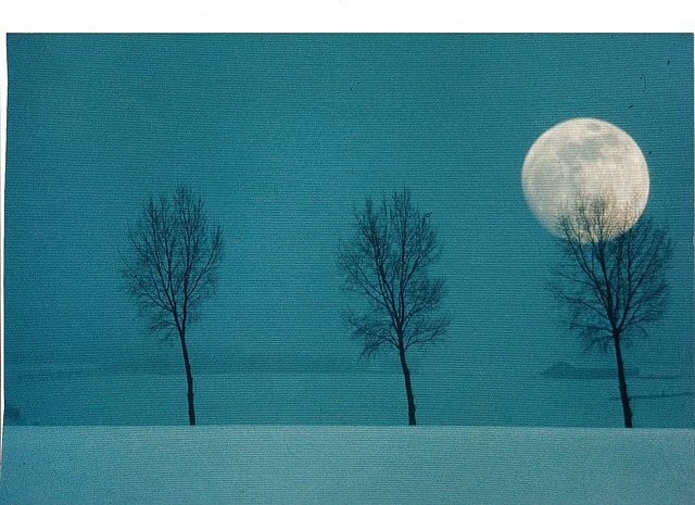 Wintermoon