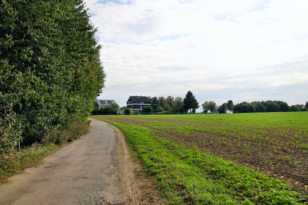 Stadtgrenze Bochum/Witten / 22.09.2019