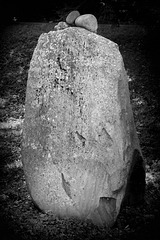 IMG 8282-001-Big (Stone) Foot