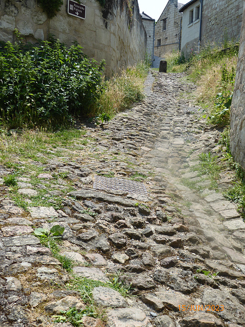 CANDES SAINT-MARTIN Indre et Loire