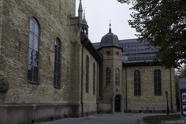 Oslo Domkirke ... P.i.P. (© Buelipix)