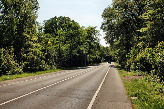 Lindhorststraße (Bottrop-Fuhlenbrock) / 11.05.2024