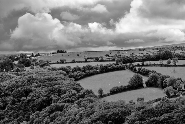 Dartmoor - 20150831