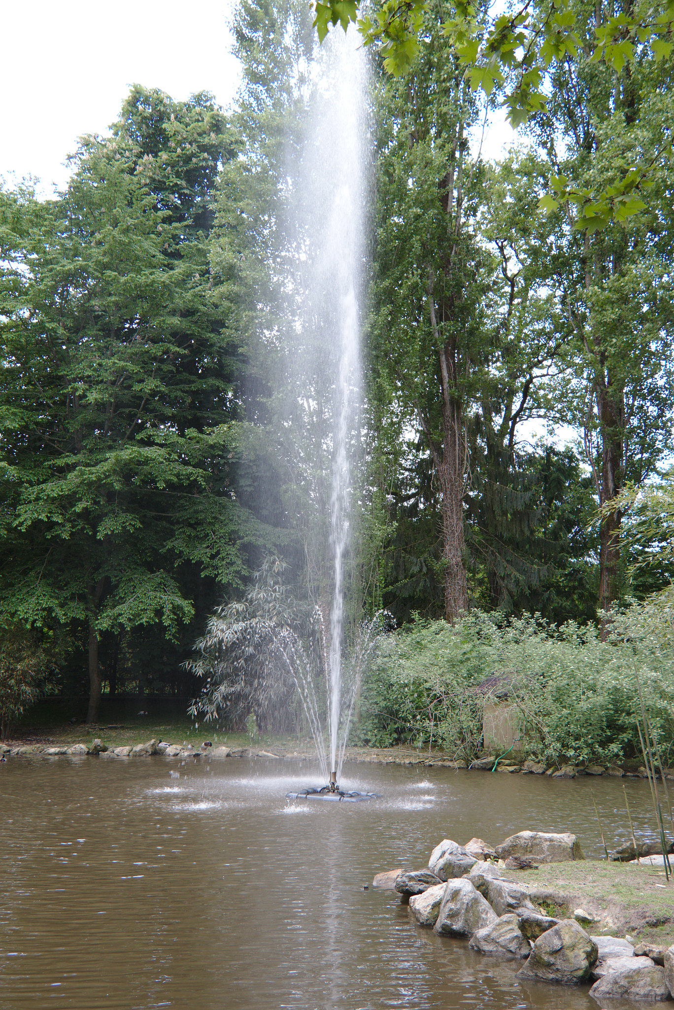 img 0006