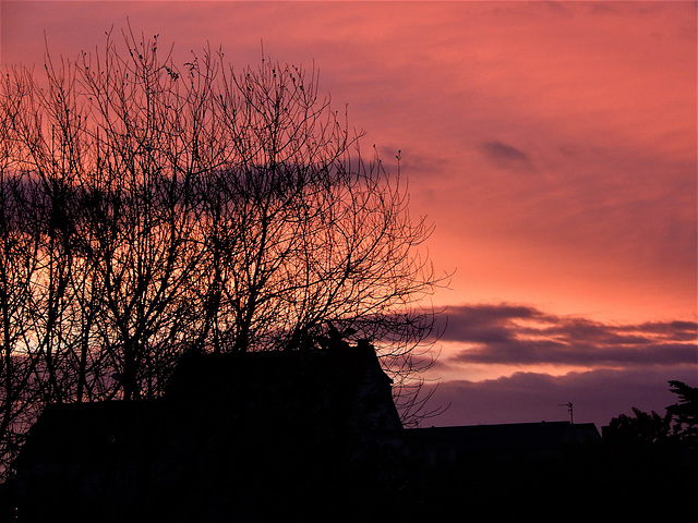 le ciel de ce matin,