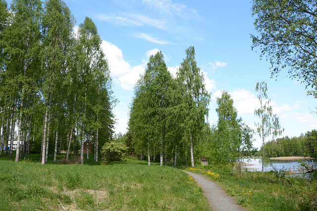 Finland, Trail along the Shore of the Lake of Kolima