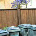 A touch of blue (with bins...)