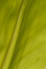 DSCF7931