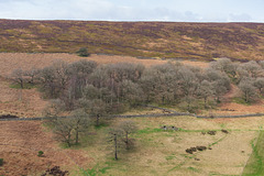 White Brow across the valley