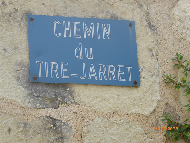 CANDES SAINT-MARTIN Indre et Loire