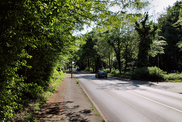 Lindhorststraße (Bottrop-Fuhlenbrock) / 11.05.2024