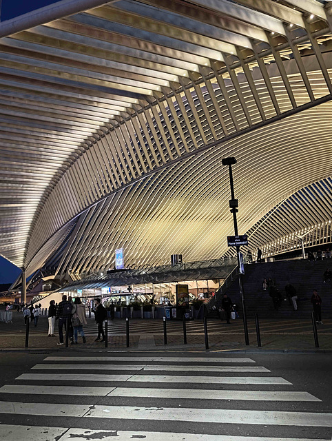 Liège - Gare de Liège-Guillemins