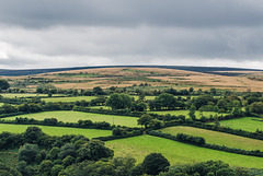 Dartmoor - 20150831