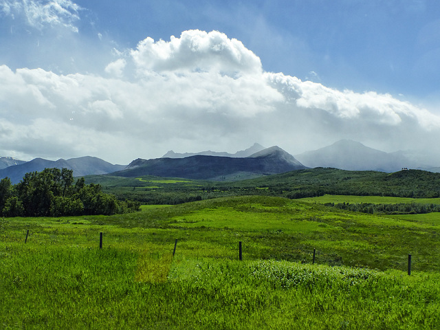 Not far from Waterton