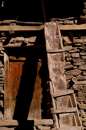 Échelle du Mustang