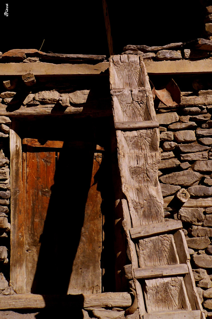 Échelle du Mustang