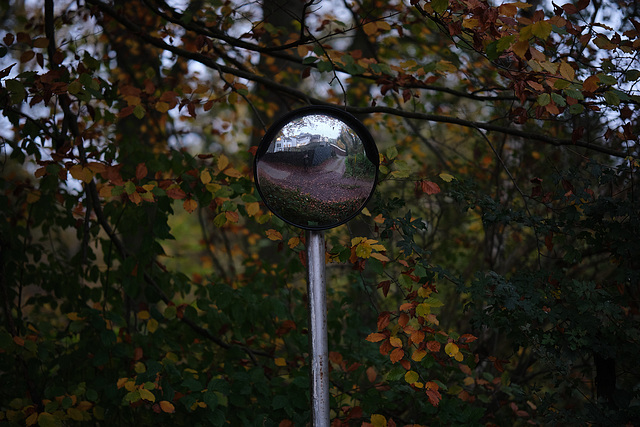 Herbstselfie