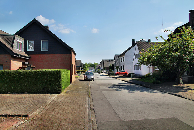 Görkenstraße (Bottrop-Fuhlenbrock) / 11.05.2024