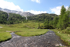 Almwiesen - Mittlere Weissbrunnalm - Ultental (PIP)