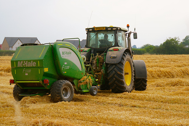 Harvest Time