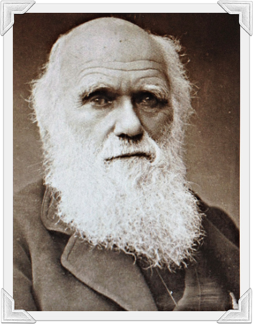 CHARLES DARWIN